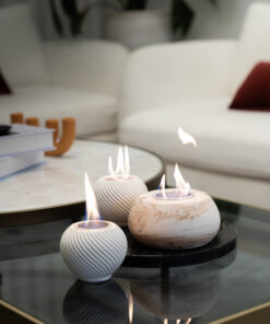 vase cosmos ateş çukuru set masaüstü şömine